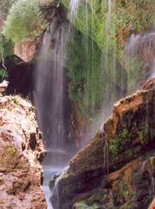 عکس( آبشار تنگ دناسا سمیرم)
