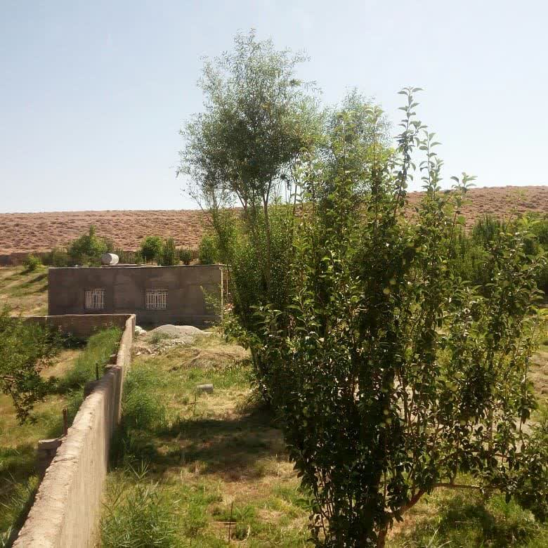 عکس روستای شیبانی (سمیرم)